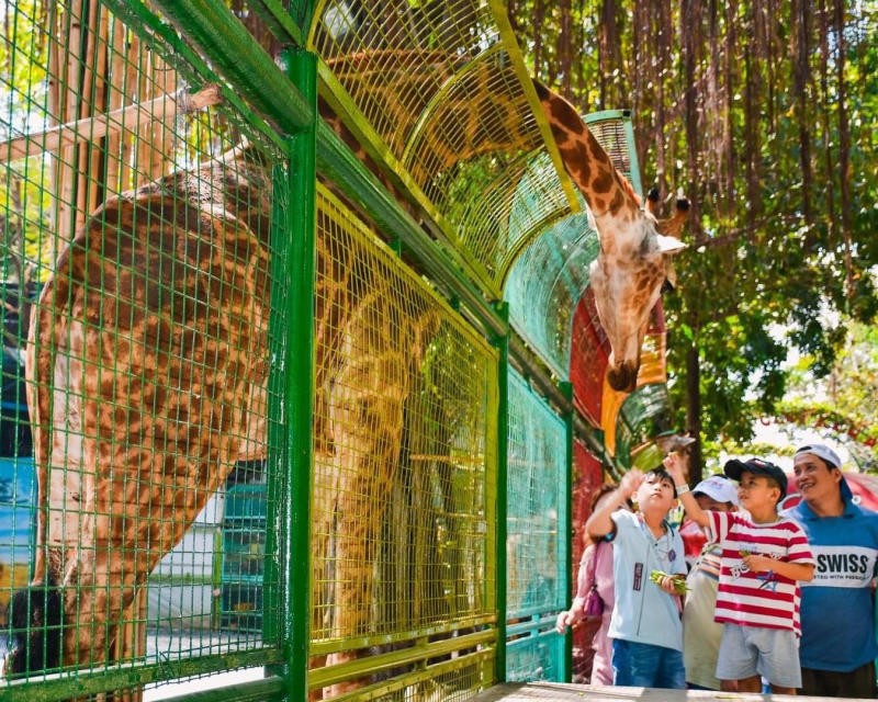 Những lưu ý quan trọng khi vui chơi tại Đầm Sen Khô