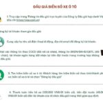 Đăng ký tài khoản đấu giá biển số xe
