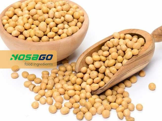 Đậu nành đậu tương giá sỉ hcm