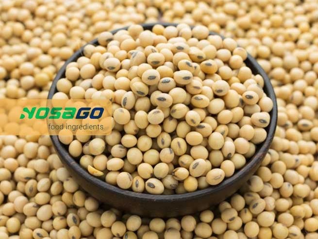 Đậu nành đậu tương giá sỉ