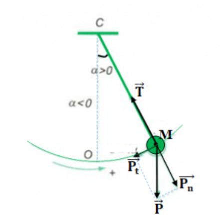 Con lắc đơn dao động điều hòa