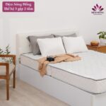 Đệm Sông Hồng siêu nẩy TH3