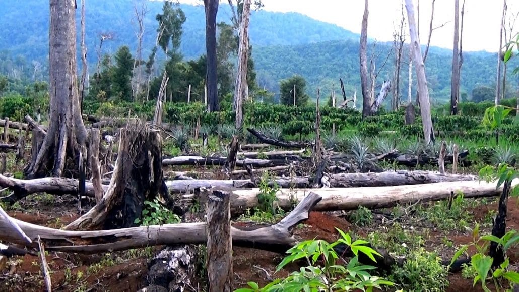 Hoạt động khai thác tài nguyên của con người cũng là một nguyên nhân quan trọng gây ra diễn thế của quần xã.
