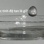 Độ tan của muối là gì