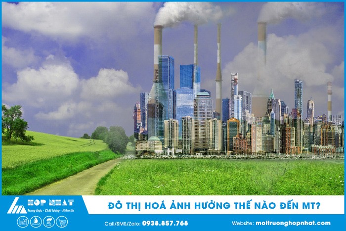 Ảnh hưởng của đô thị hóa đến môi trường