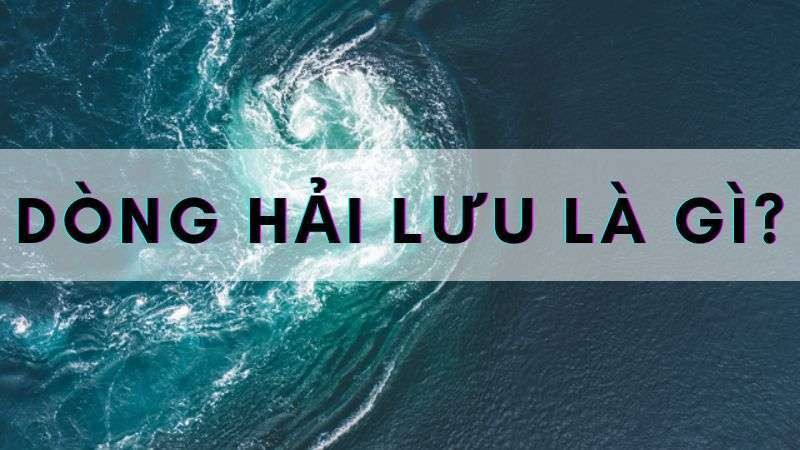 dòng hải lưu biển Việt Nam