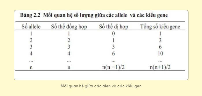 Ảnh minh họa đa alen