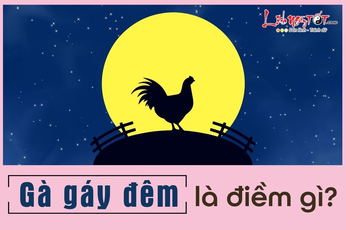 Gà trống gáy đêm khuya