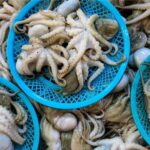 Bạch tuộc tươi ngon có màu sắc sáng bóng và da trơn láng, không bị xỉn màu