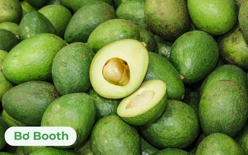 Bơ Booth có mức giá trung bình, hình tròn đều, vỏ xanh ngả vàng và thịt bơ vàng tươi, ít xơ