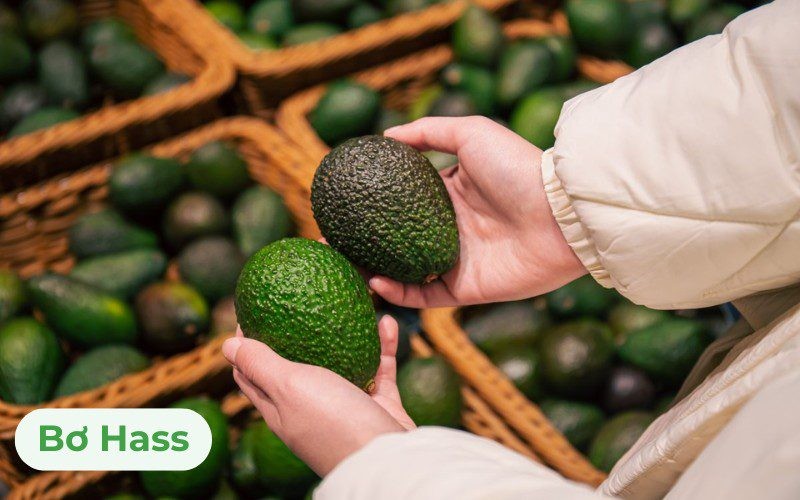 Giá bơ Hass thường cao hơn các giống bơ khác do có màu vàng kem, thơm mùi hạt dẻ và giàu chất béo không bão hòa đơn