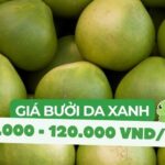Giá bưởi da xanh dao động tùy theo mùa vụ và khu vực