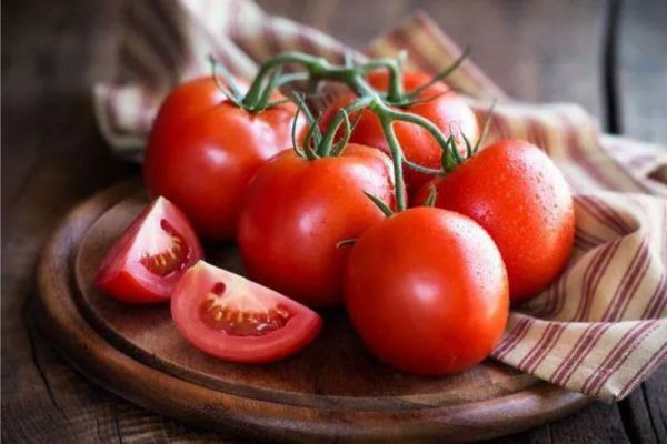 Giá cà chua tại vườn hôm nay