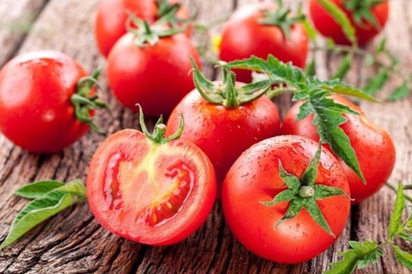 Lợi ích kinh tế từ việc trồng cà chua