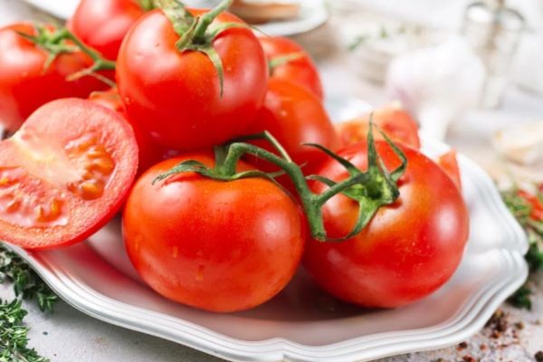 Tổng hợp những giống cà chua dễ trồng, năng suất cao