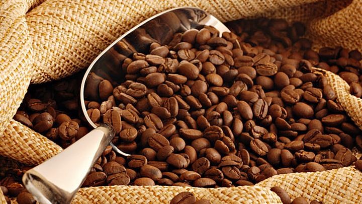 Biểu đồ giá cà phê Robusta và Arabica thế giới