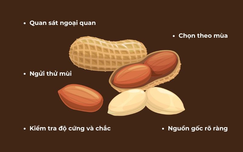 Lạc ngon có vỏ màu nâu tự nhiên, chắc chắn và mùi thơm nhẹ đặc trưng