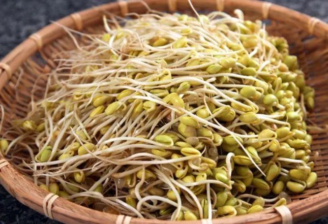 Giá trị dinh dưỡng tuyệt vời của giá đỗ