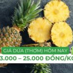 Giá dứa tươi hôm nay tại các chợ và siêu thị ở Hà Nội