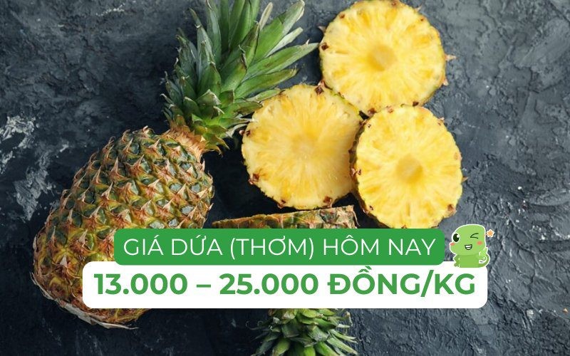Giá dứa tươi hôm nay tại các chợ và siêu thị ở Hà Nội