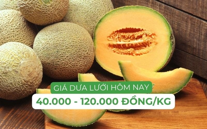Giá dưa lưới hôm nay, cập nhật mới nhất tại các chợ và siêu thị