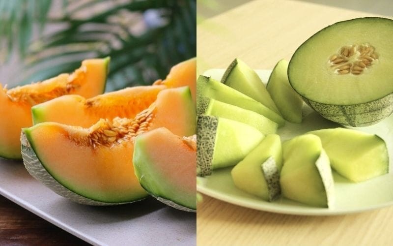 So sánh dưa lưới xanh và dưa lưới vàng