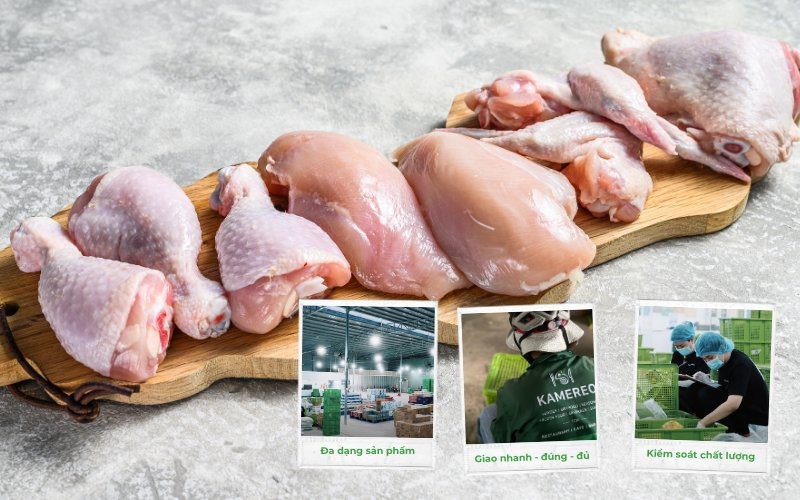 Phân biệt gà ta và gà công nghiệp