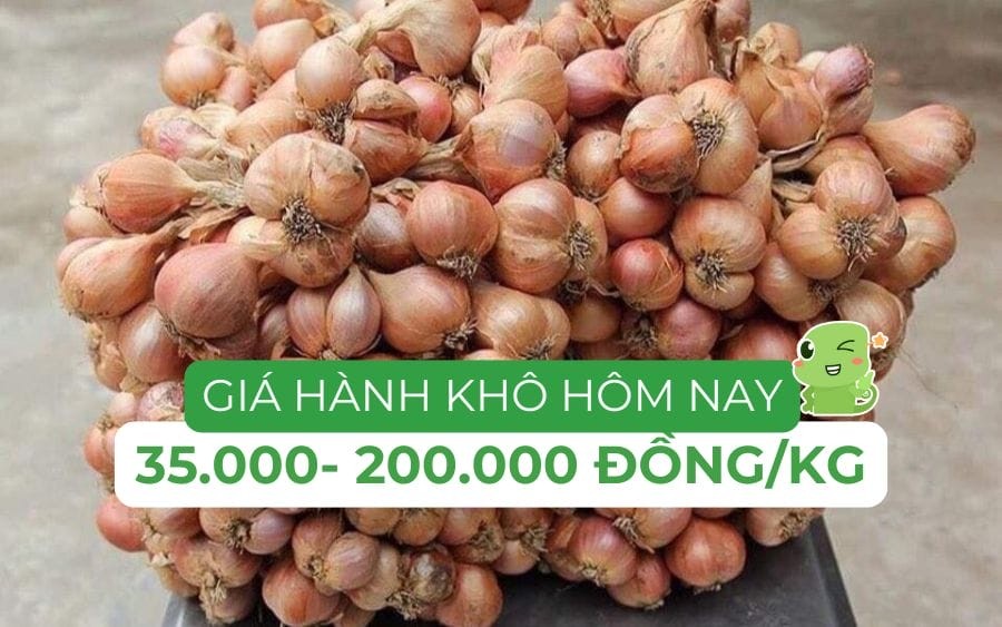 Giá hành khô hôm nay tại chợ đầu mối, phân loại theo nguồn gốc và chất lượng