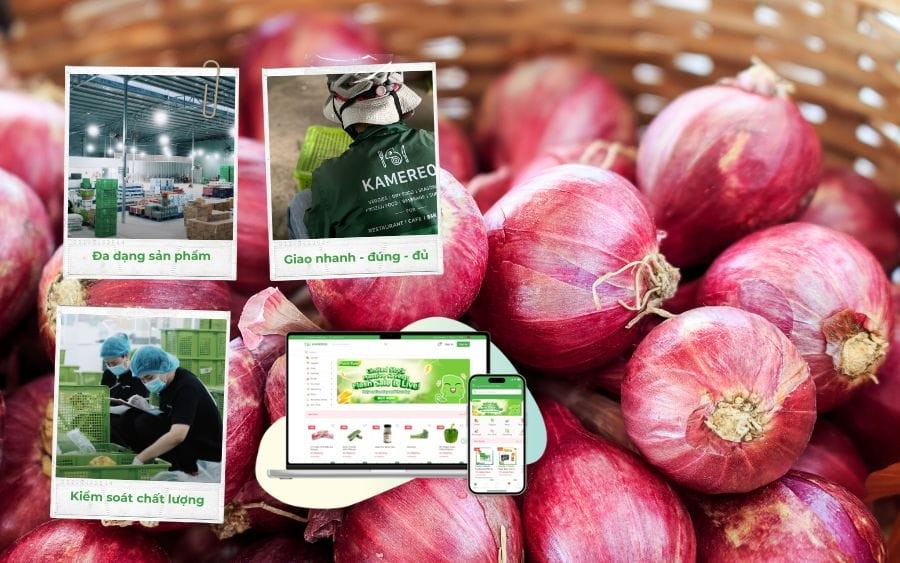 Hành phi, món ăn kèm không thể thiếu trong nhiều món ăn Việt Nam