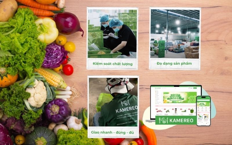 Kamereo nền tảng cung ứng thực phẩm