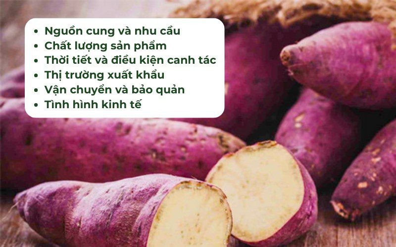 Yếu tố ảnh hưởng đến giá khoai lang nhật