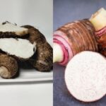 Khoai môn với nhiều chủng loại khác nhau đem đến sự lựa chọn đa dạng cho người tiêu dùng