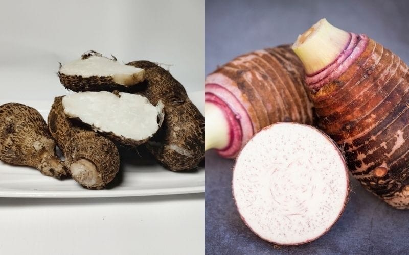 Khoai môn với nhiều chủng loại khác nhau đem đến sự lựa chọn đa dạng cho người tiêu dùng