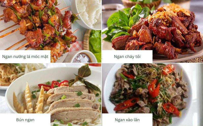 Các món ăn ngon từ ngan