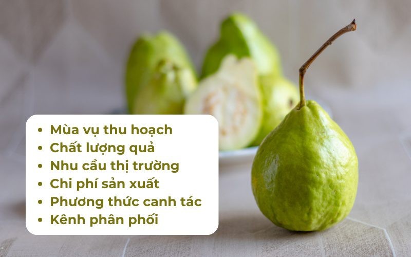 Các yếu tố ảnh hưởng đến giá ổi