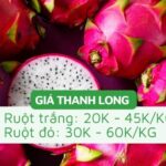 Giá cả thị trường Bình Thuận hôm nay chịu ảnh hưởng bởi nhiều yếu tố như giá nhiên liệu, cung cầu, chính sách nhà nước và mùa vụ