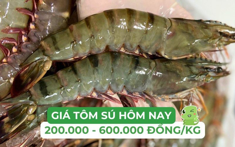 Giá Tôm Sú Loại Nhỏ 30-40 Con/Kg Tại Chợ Đầu Mối Hà Nội