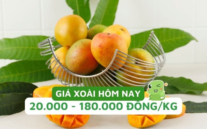 Giá xoài hôm nay tại Mỹ Đình dao động tùy loại và chất lượng, từ 30.000 đến 200.000 VNĐ/kg
