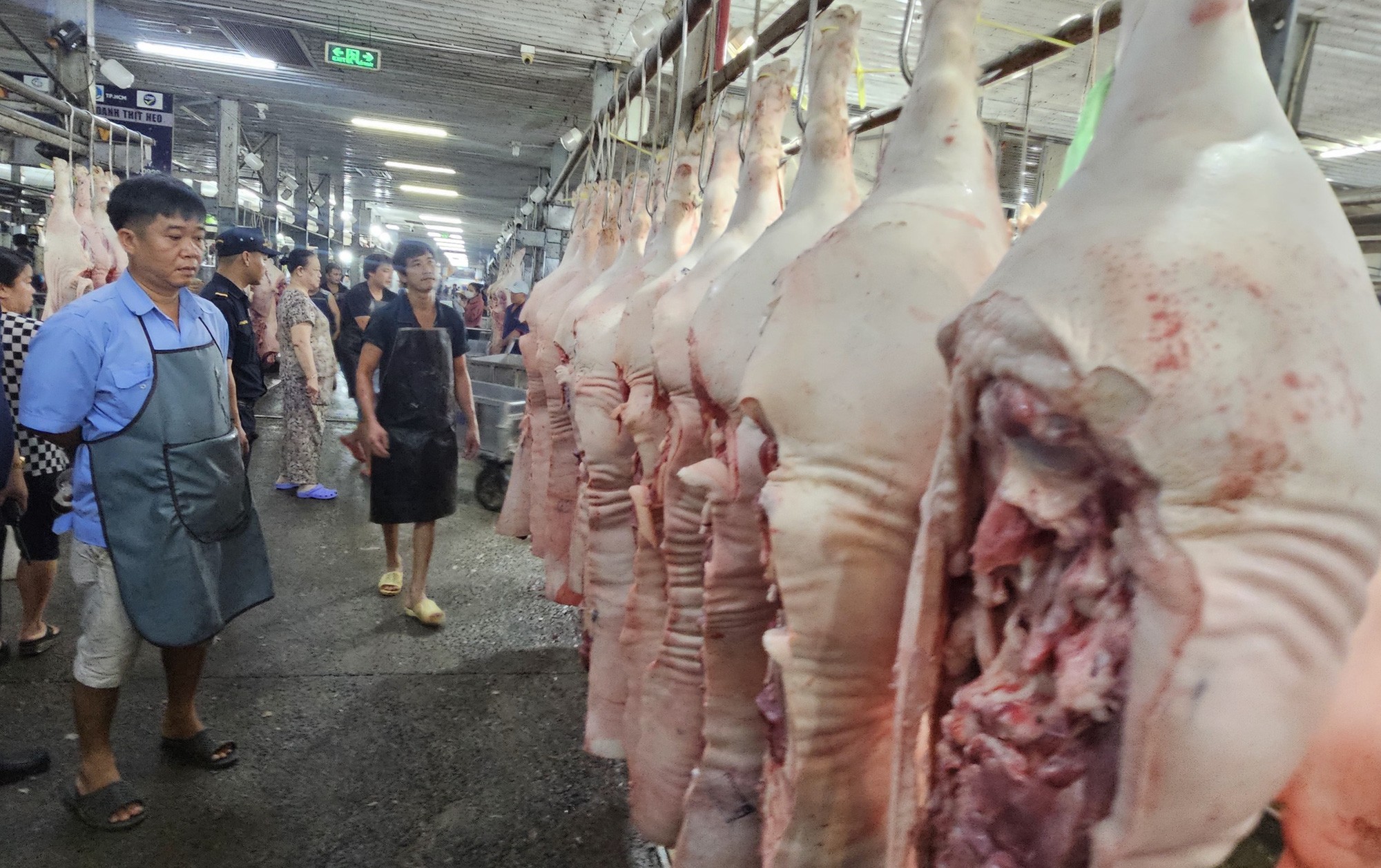 Giá heo hơi có thể tăng lên 70.000 đồng/kg trong dịp Tết - ảnh 3, nhấn mạnh tiềm năng tăng giá