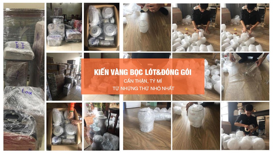 Kiáº¿n VÃ ng bÃ¹ng nhiá»u Ä‘á»“ng goi cáº§n thÃ¢n ty mi tu nhung thu nho nhat