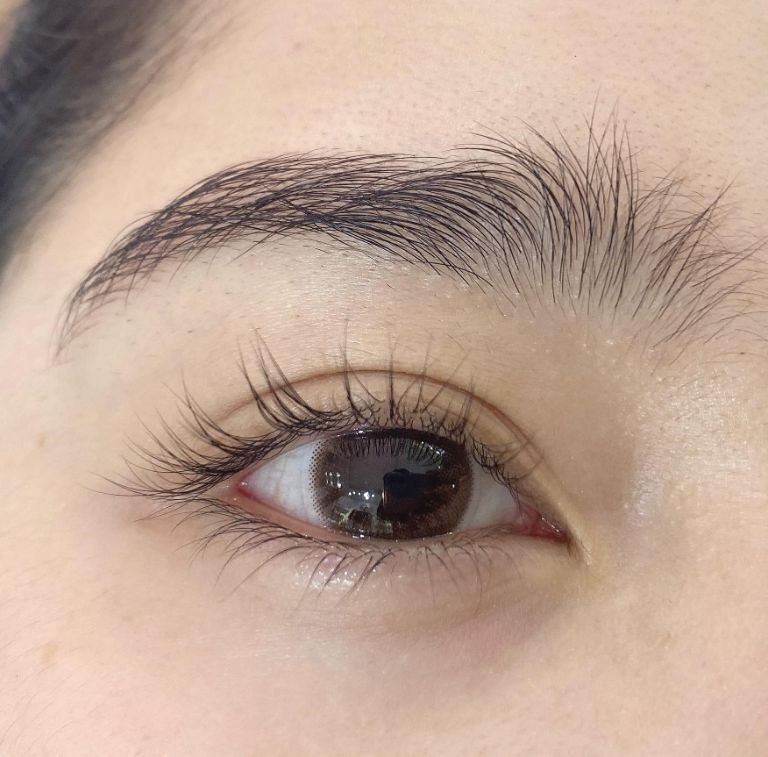 Hướng dẫn sử dụng lens