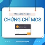 Chứng Chỉ Tin Học MOS Quan Trọng Như Thế Nào Trong Thời Đại Số?