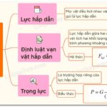 Lực hấp dẫn giữa Trái Đất và Mặt Trăng