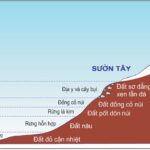 Thay đổi đất và thực vật theo độ cao