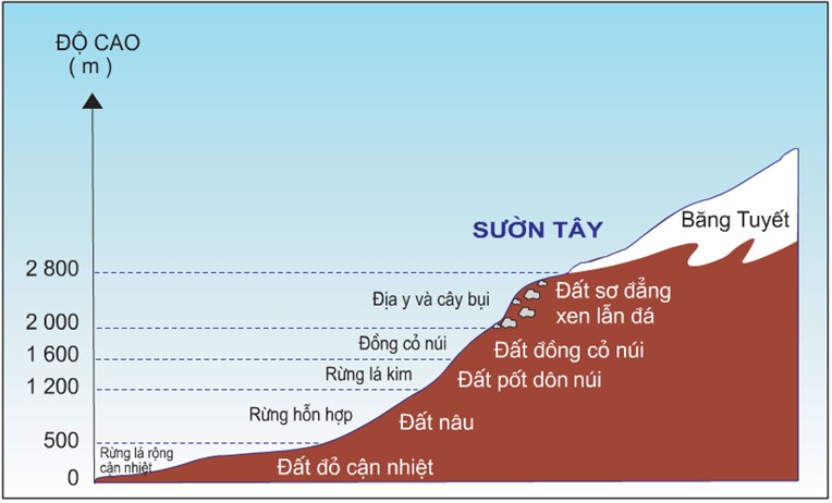 Thay đổi đất và thực vật theo độ cao