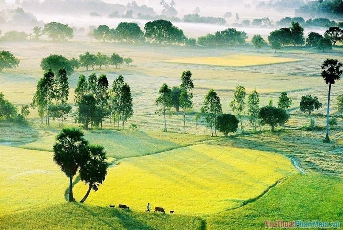 Miền Bắc 1 mẫu bằng bao nhiêu m2, sào, ha
