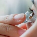 Lens mềm không màu