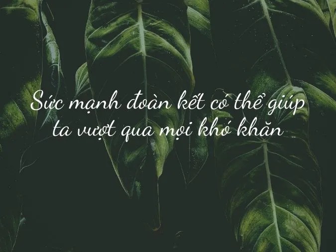 Ảnh minh họa ý nghĩa sâu xa của câu tục ngữ về tinh thần đoàn kết