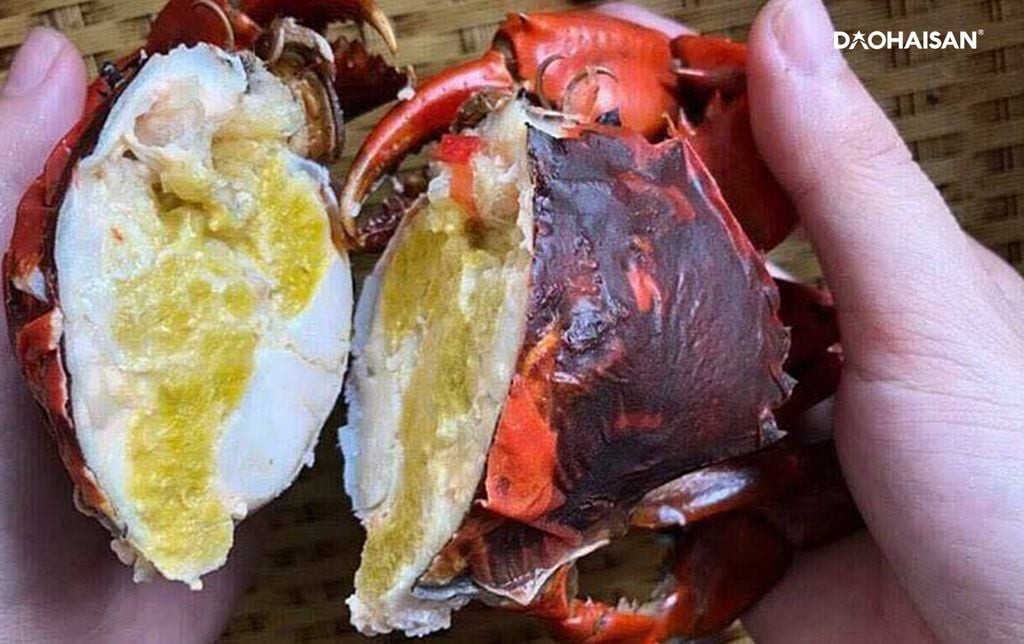 Phân biệt cua đực và cua cái Cà Mau