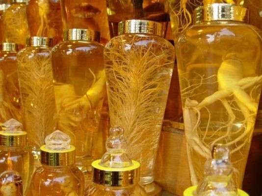Mua Củ Đinh Lăng tươi uy tín ở đâu